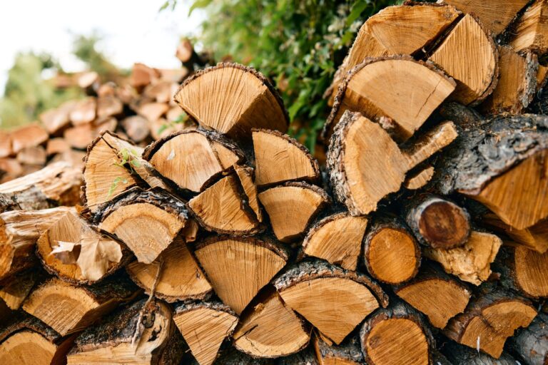 Lire la suite à propos de l’article Lorem ipsum dolor sit amet