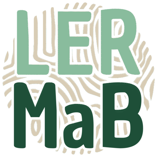 logo LERMAB