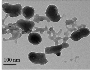 Nanolignines (image TEM)
