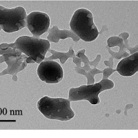 Nanolignines (image TEM)